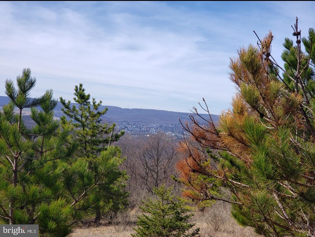 THE SUMMIT OF HARWOOD - Land