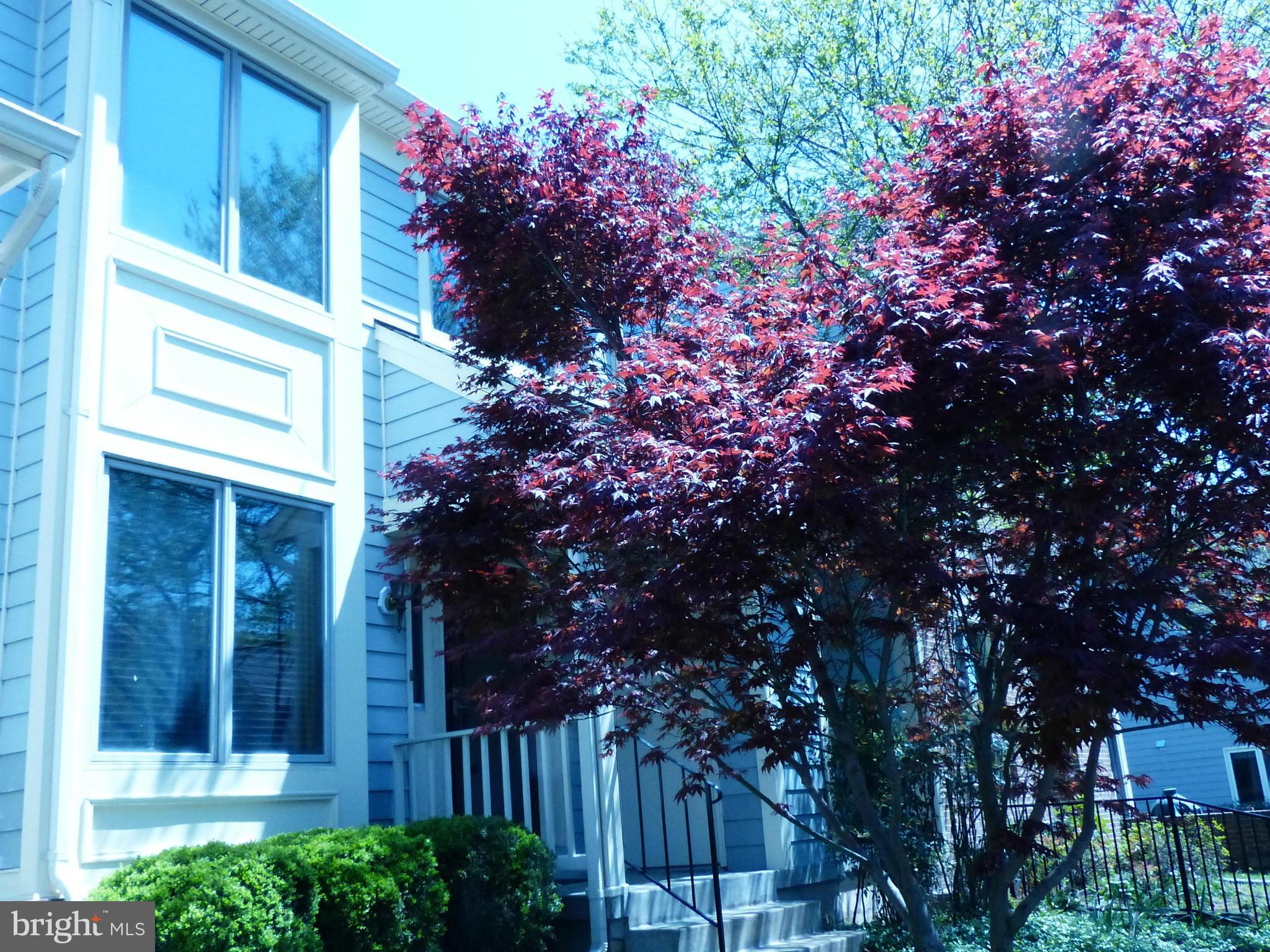 FAIR LAKES - Residential Lease