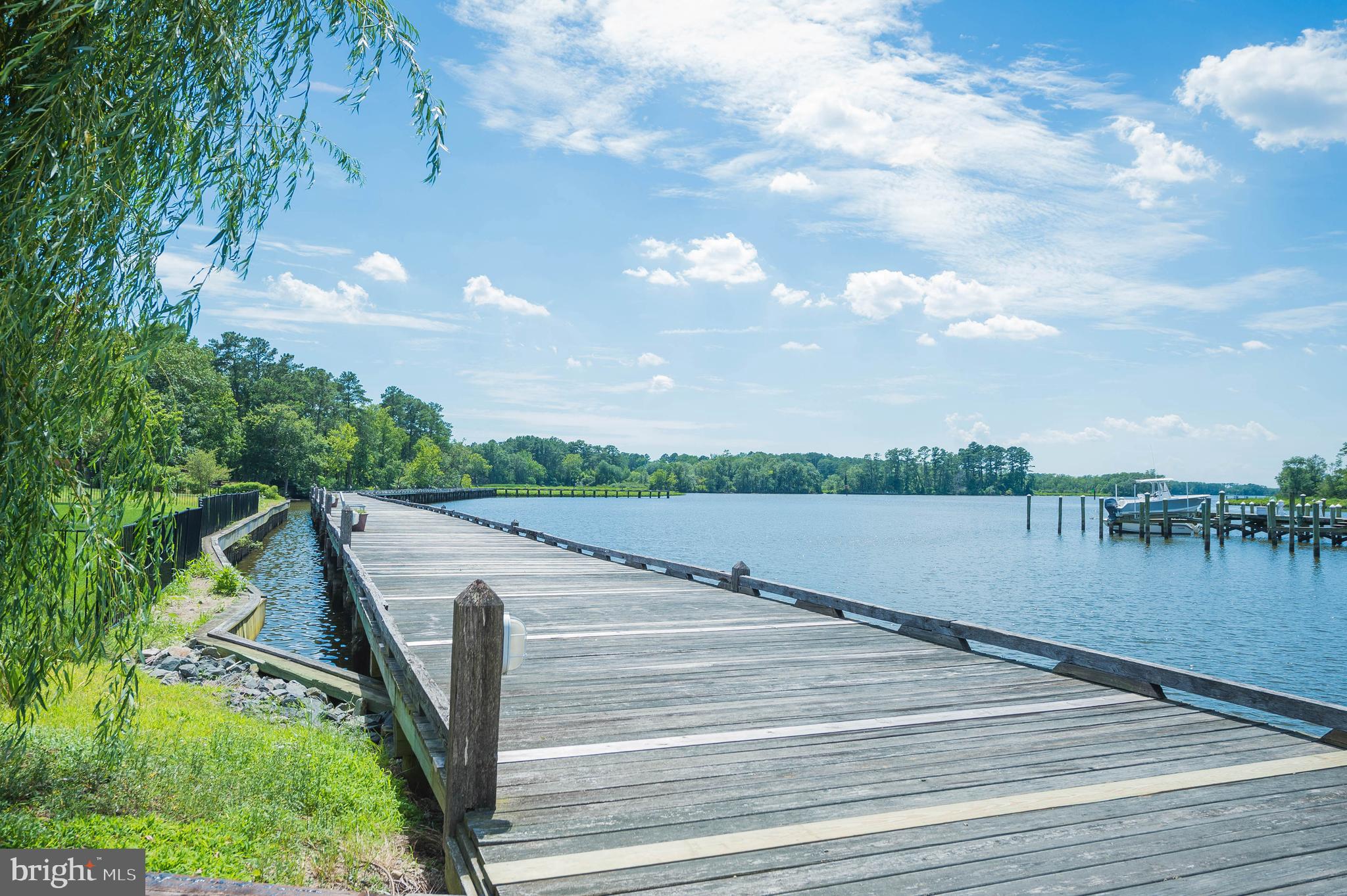 VILLAGE DOWN RIVER - Land
