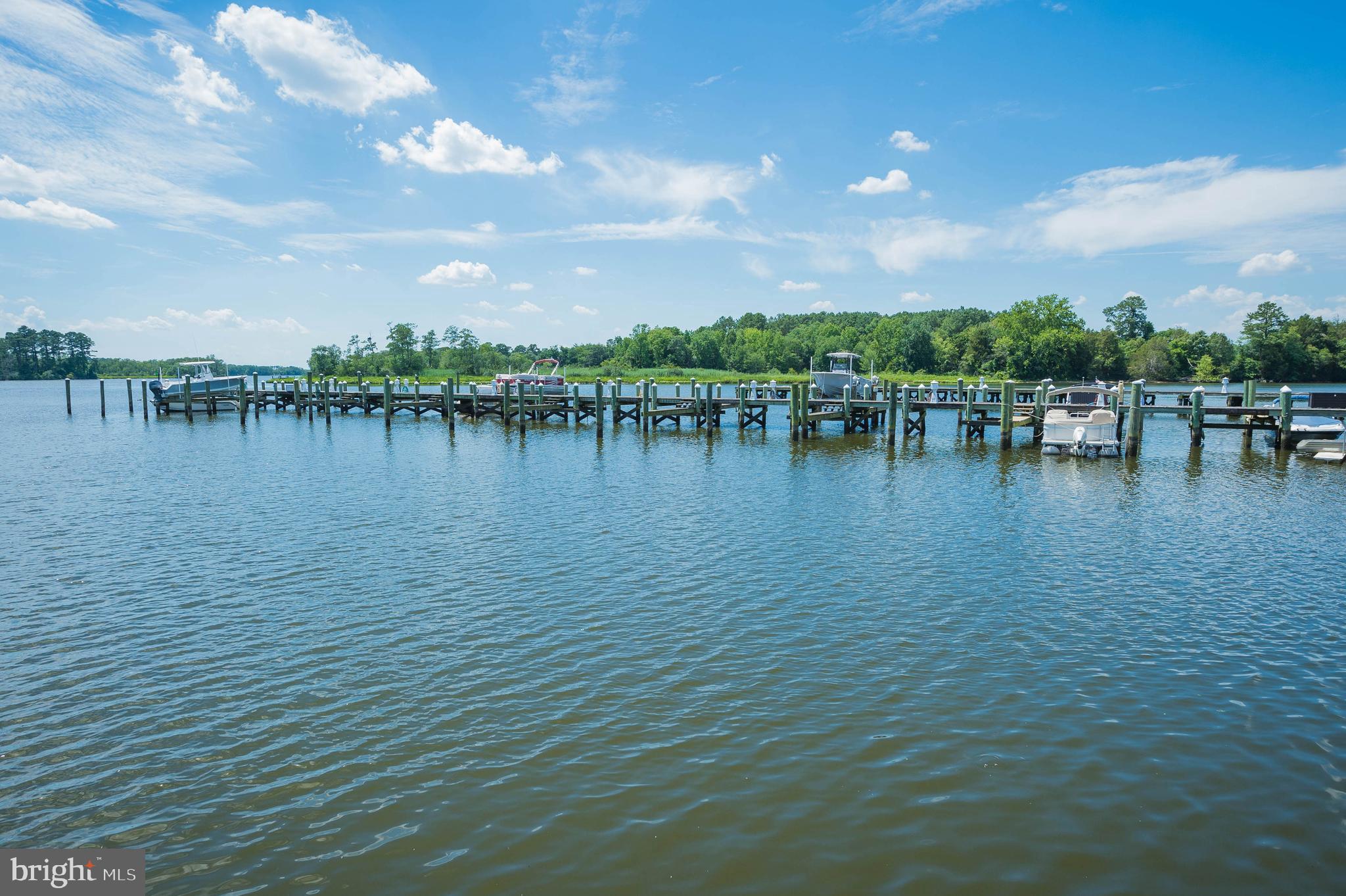 VILLAGE DOWN RIVER - Land