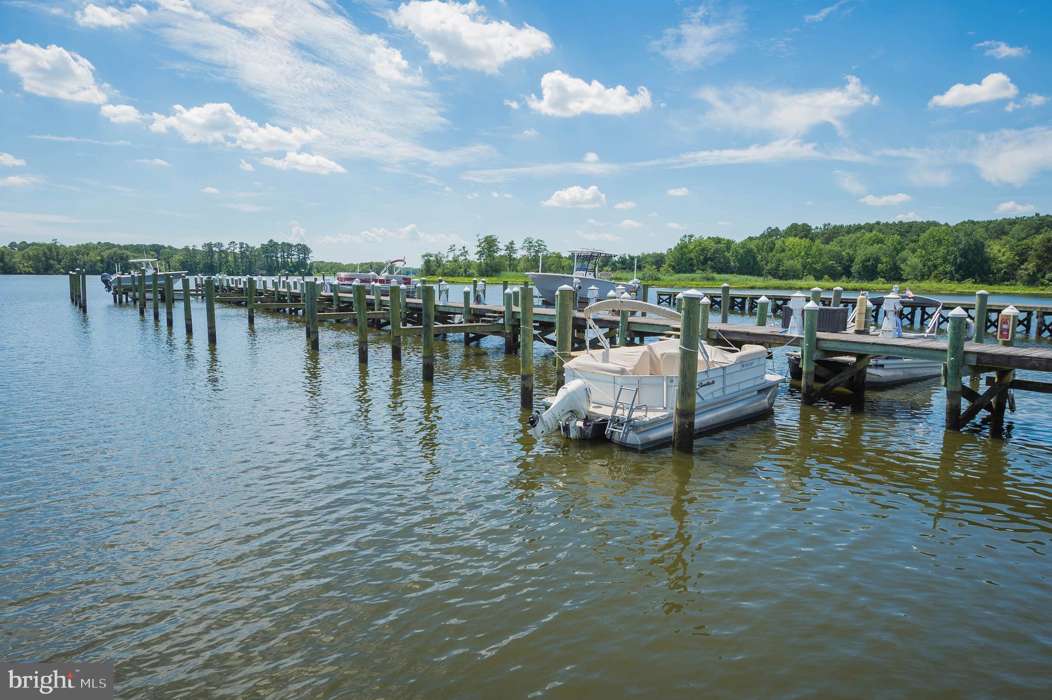 VILLAGE DOWN RIVER - Land