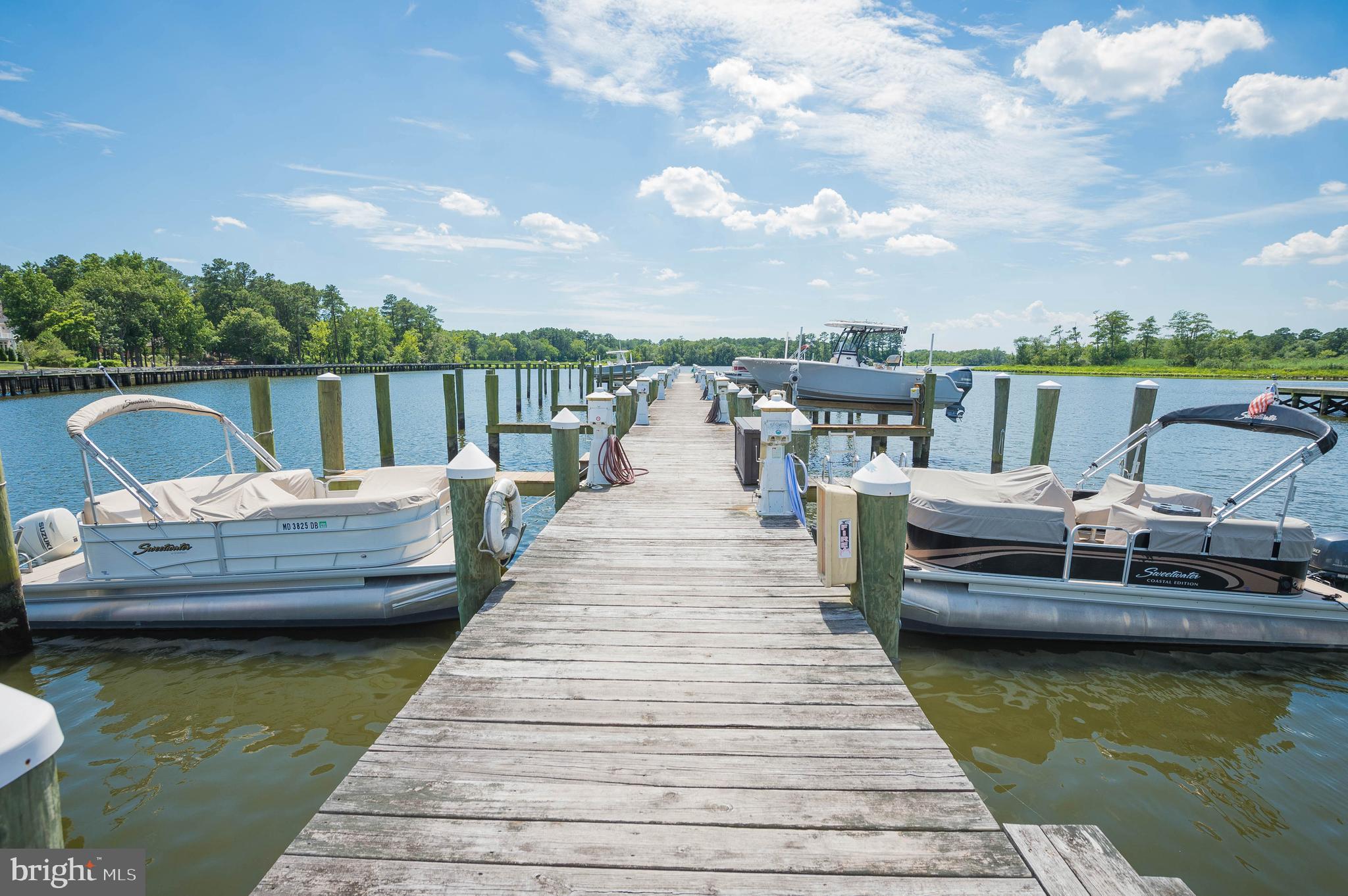 VILLAGE DOWN RIVER - Land