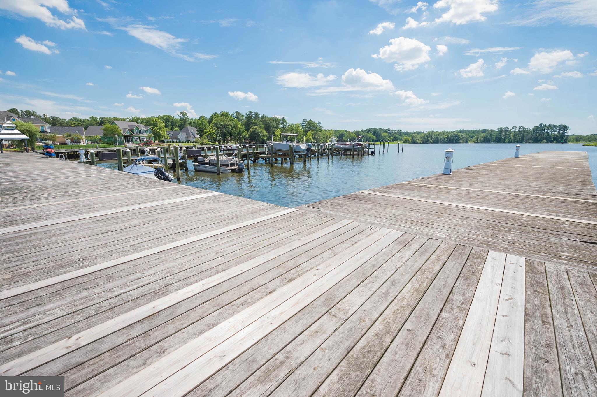 VILLAGE DOWN RIVER - Land