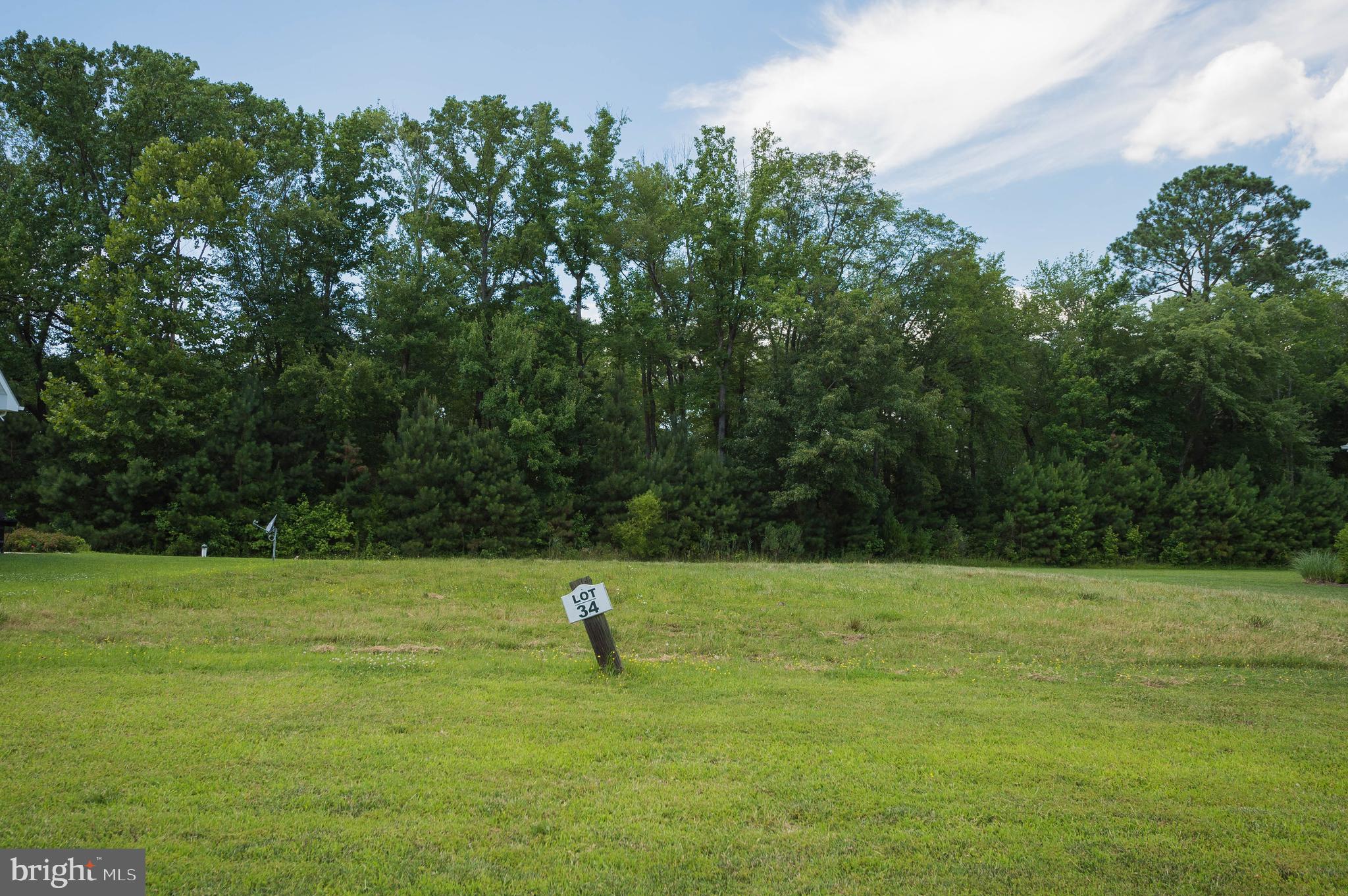 VILLAGE DOWN RIVER - Land