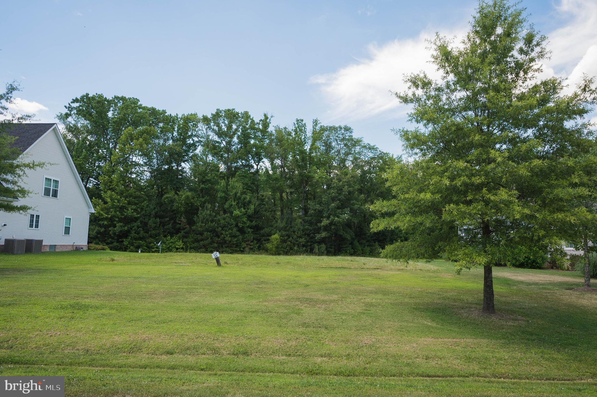 VILLAGE DOWN RIVER - Land