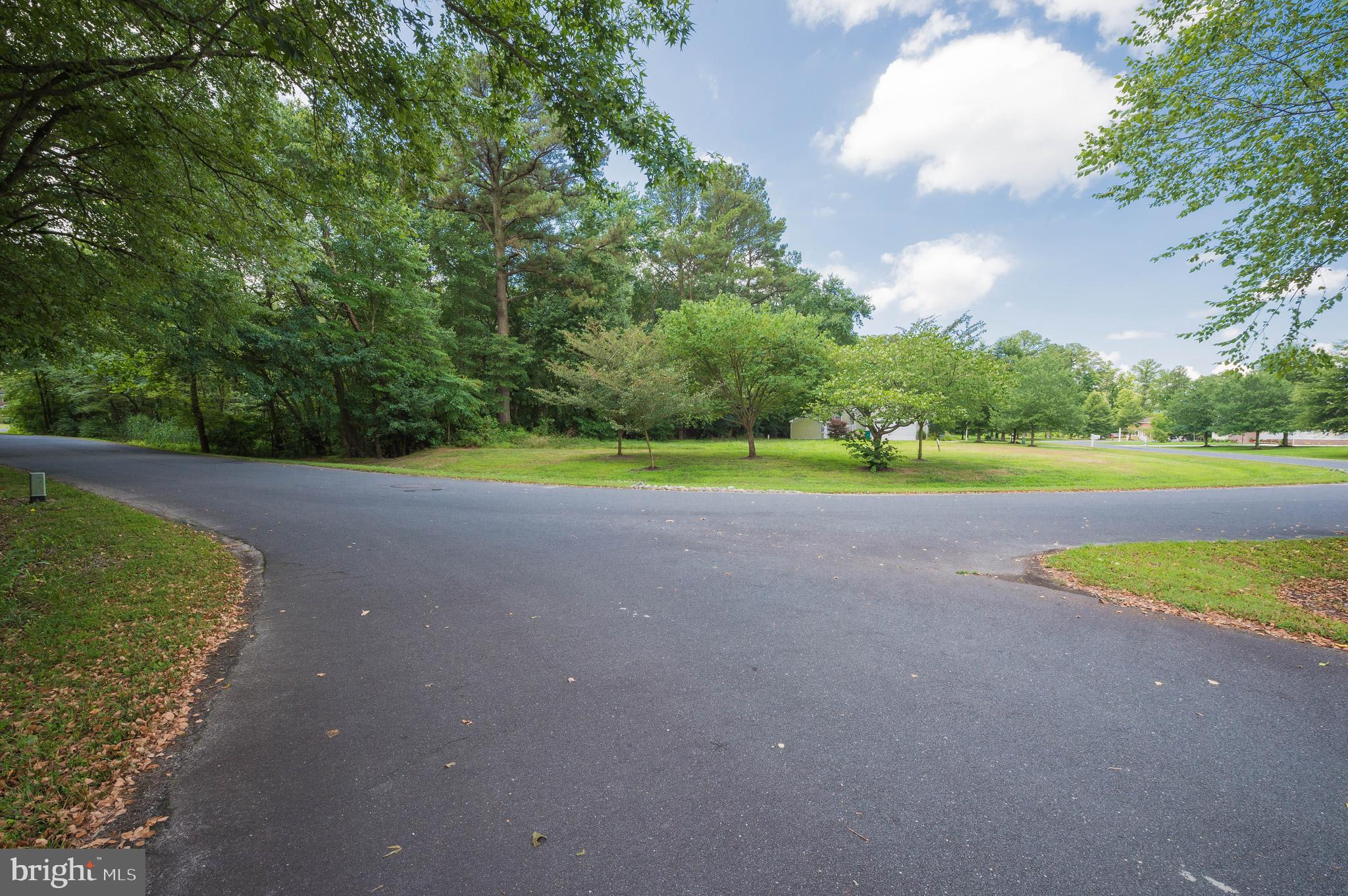 VILLAGE DOWN RIVER - Land