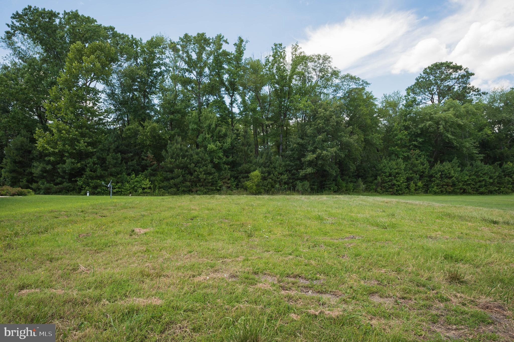 VILLAGE DOWN RIVER - Land