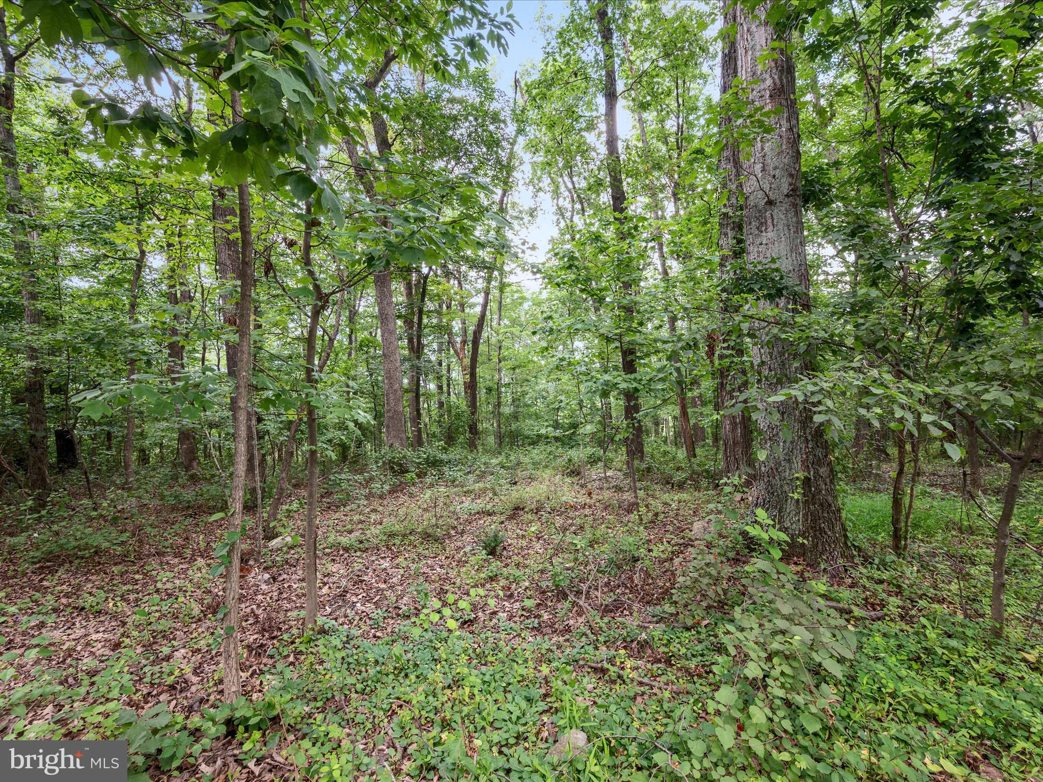 WEST RIDGE HILLS - Land