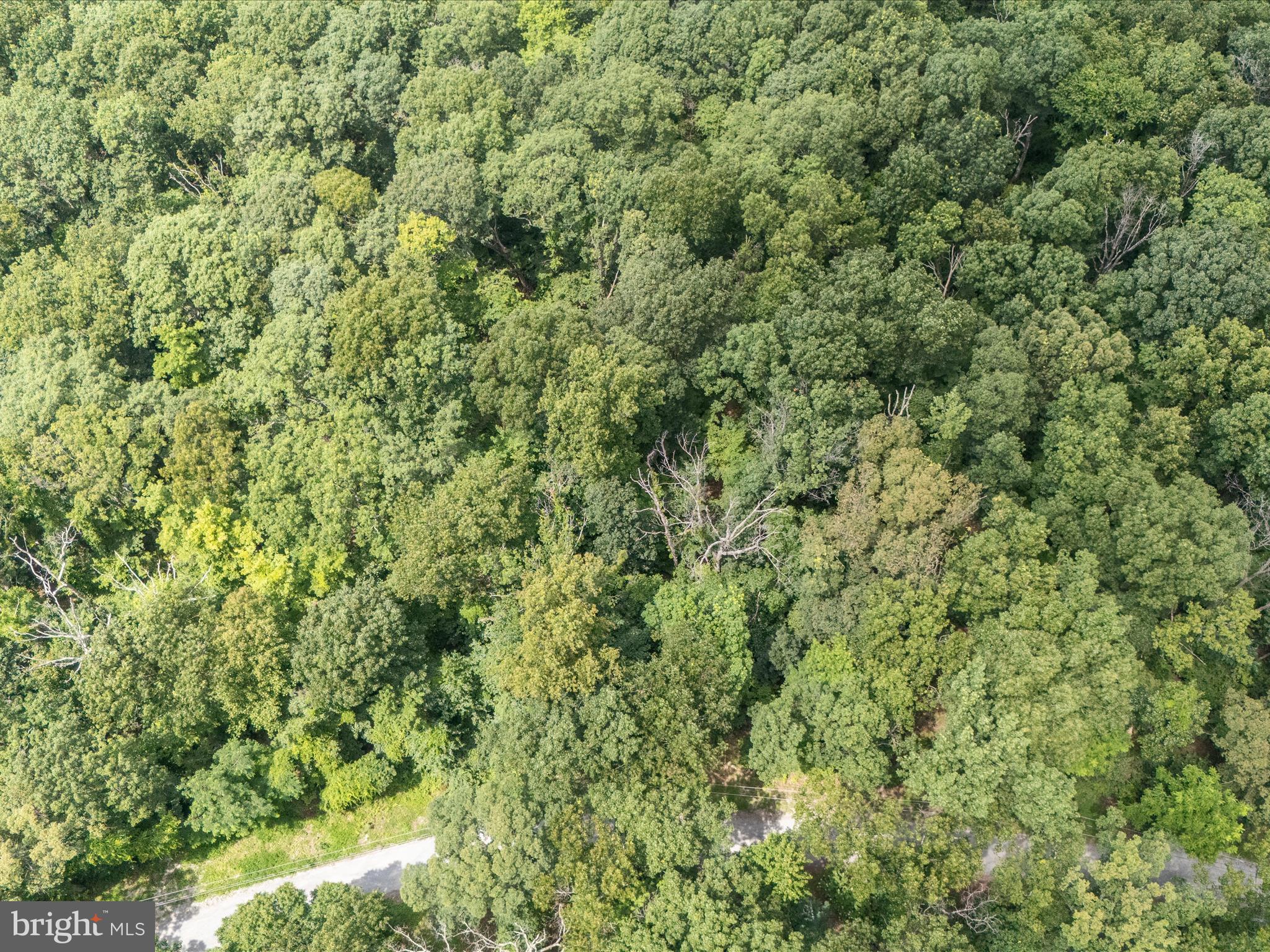 WEST RIDGE HILLS - Land