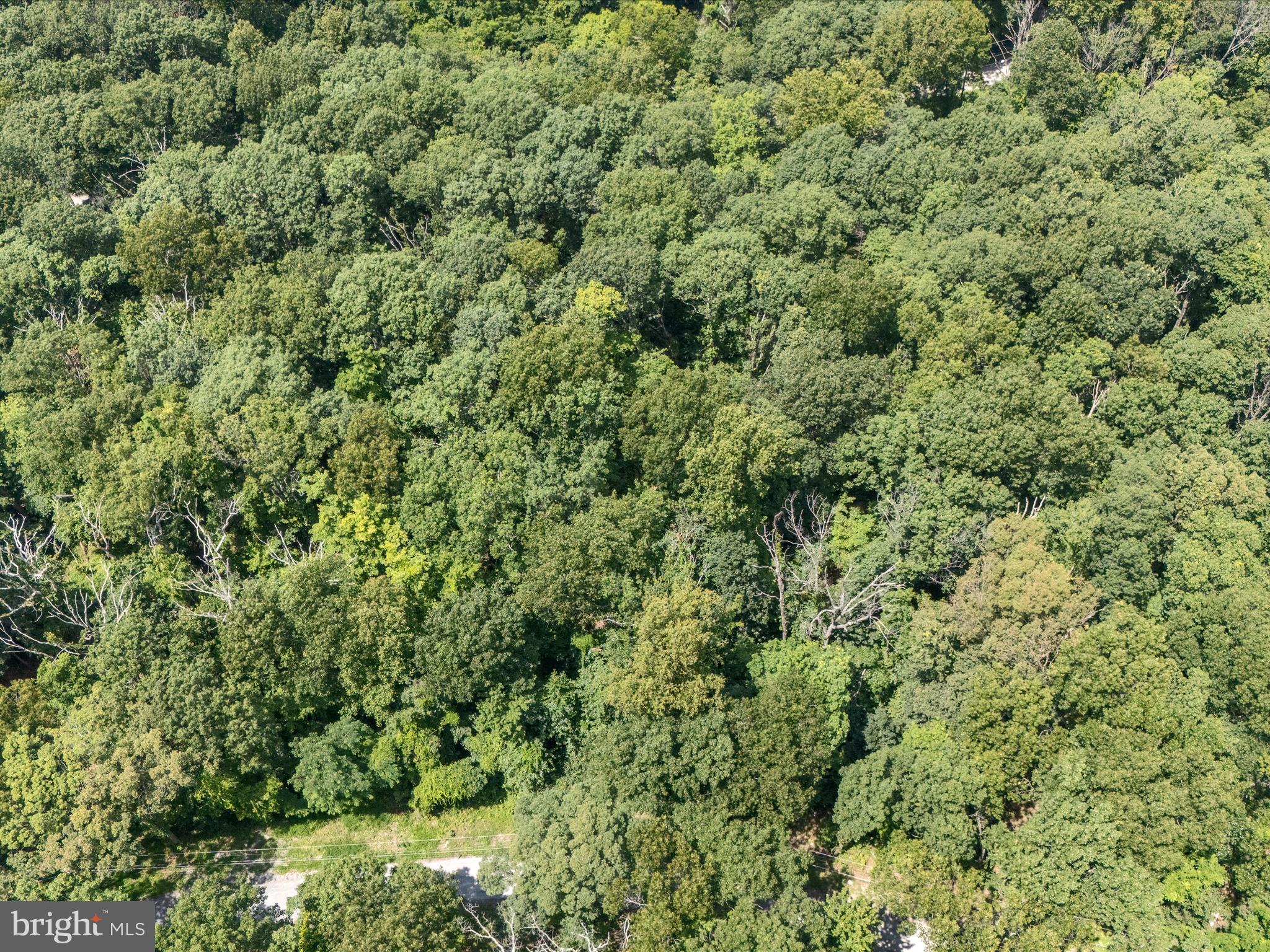 WEST RIDGE HILLS - Land