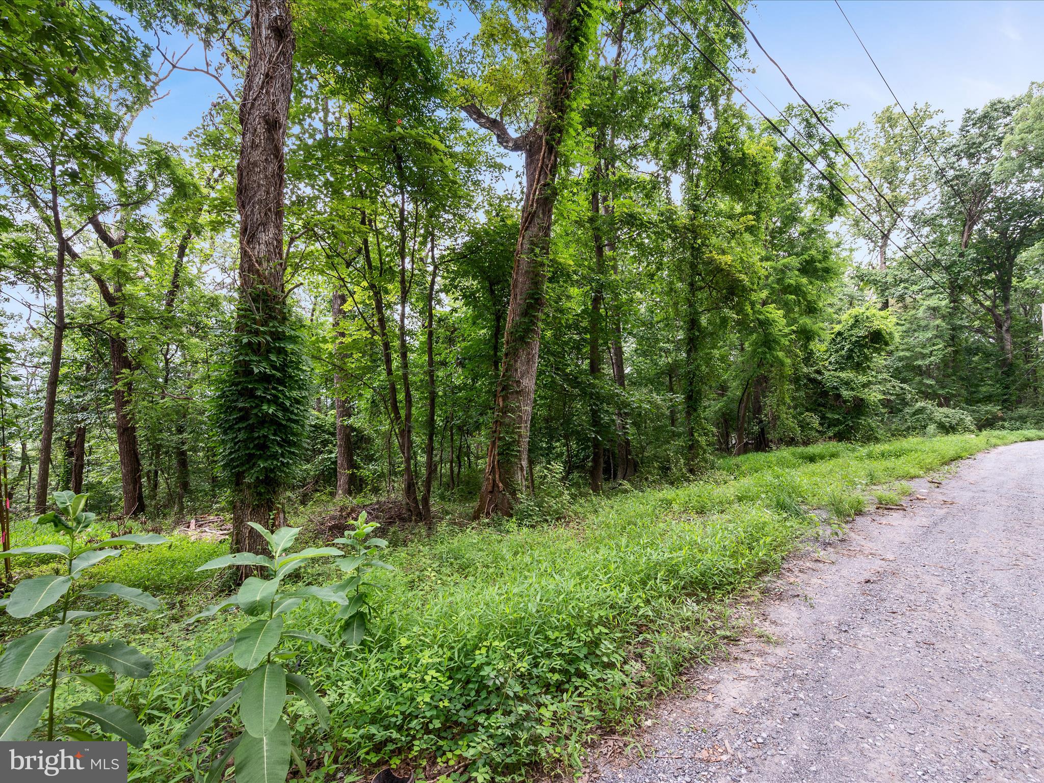 WEST RIDGE HILLS - Land