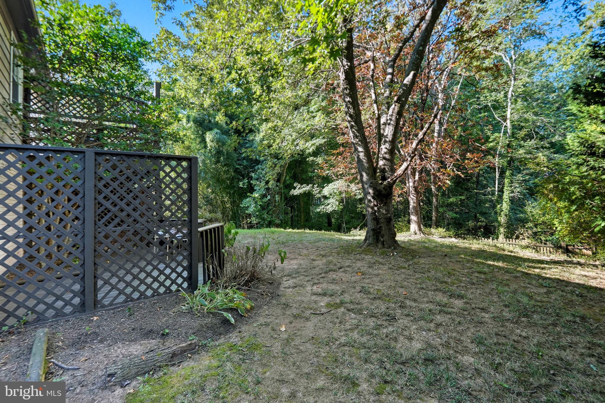 GEORGE MASON FOREST - Residential