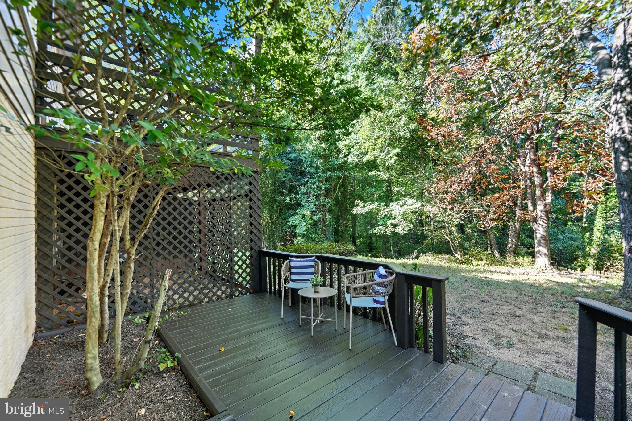 GEORGE MASON FOREST - Residential