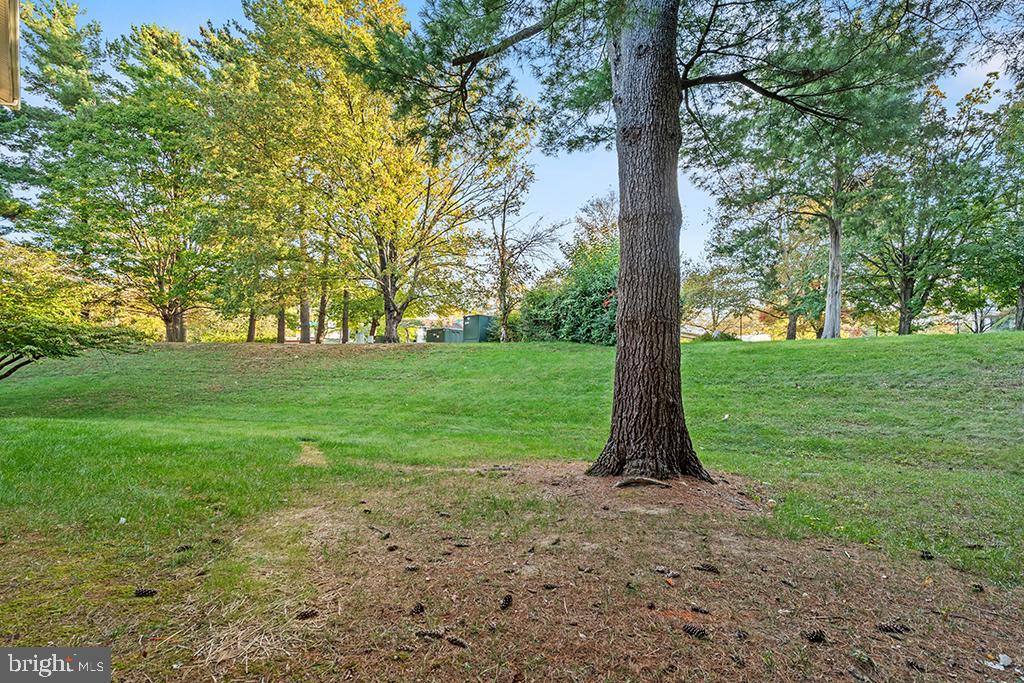 CEDAR VALLEY CONDOMINIUM - Residential