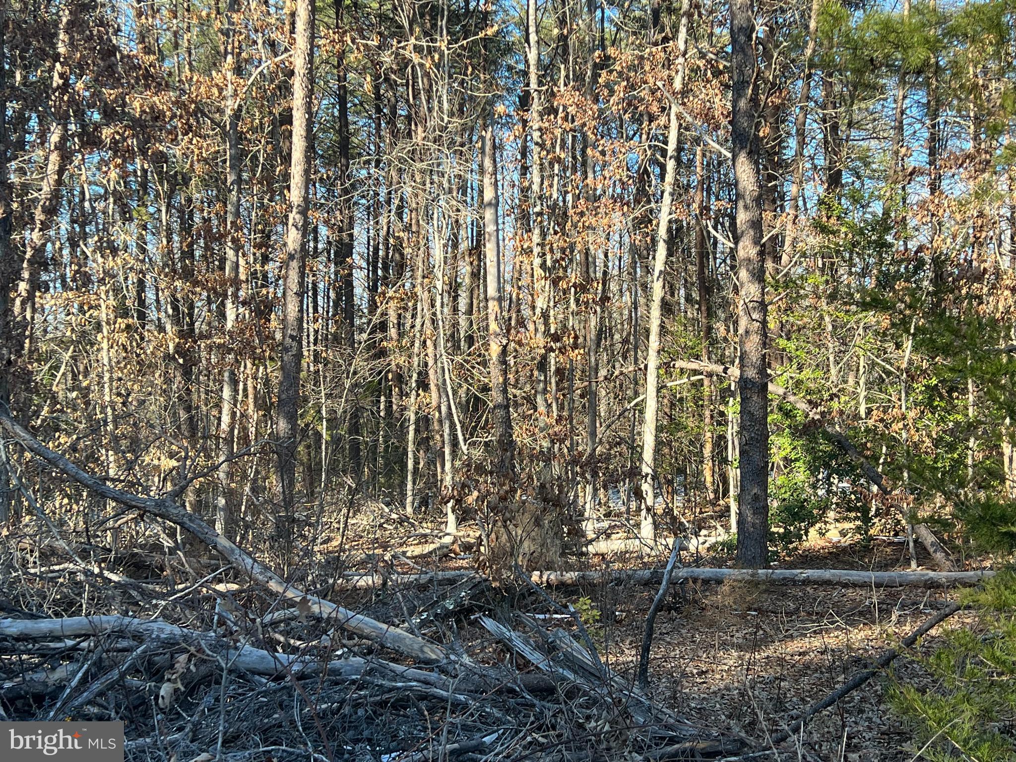 13009-13141 LAKE ANNA VILLAGE DRIVE