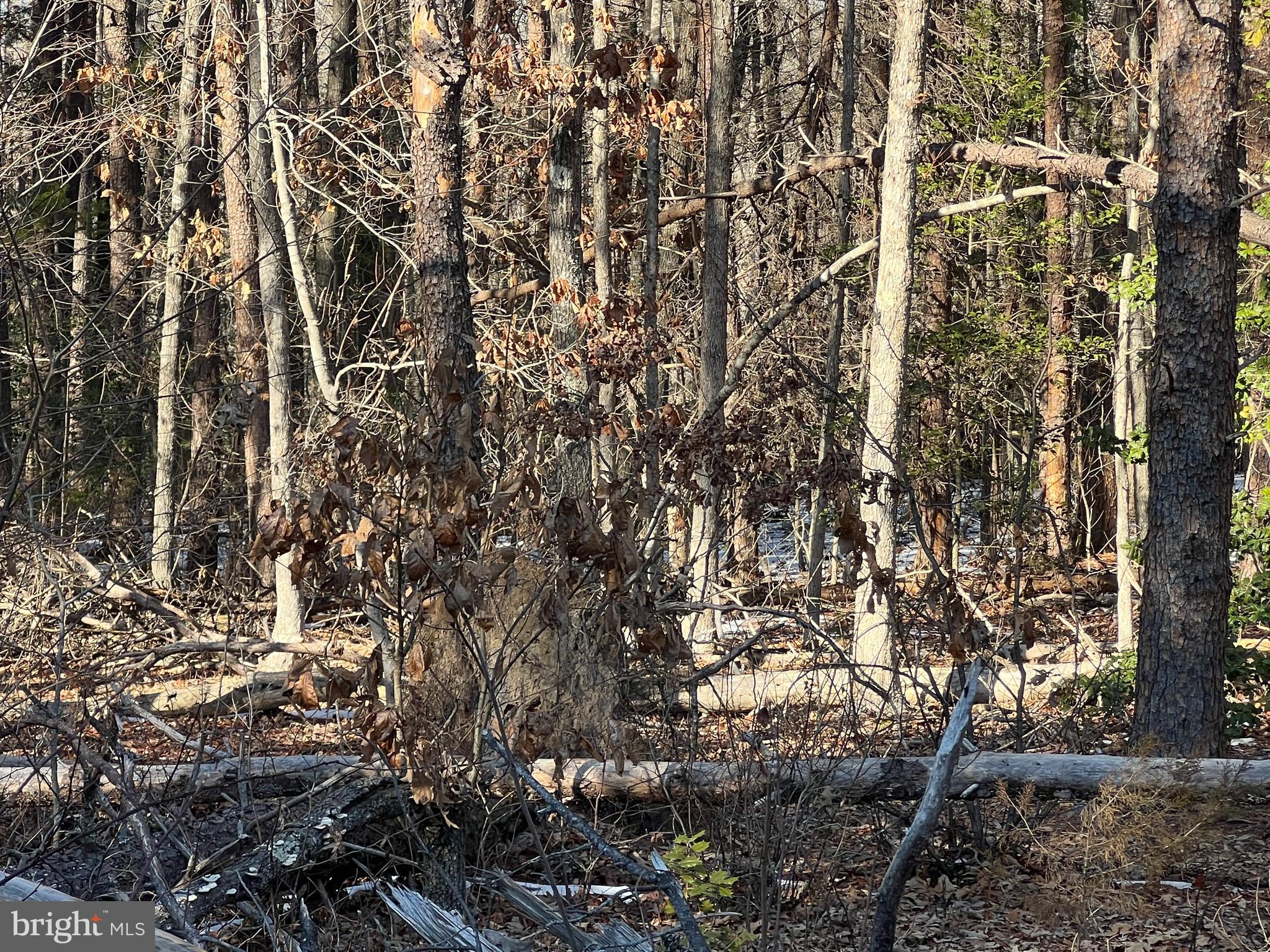 NONE AVAILABLE - Land