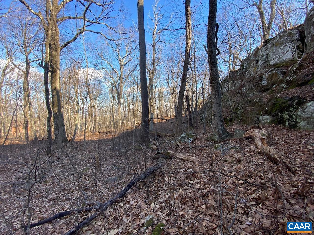 WINTERGREEN RESORT - Land