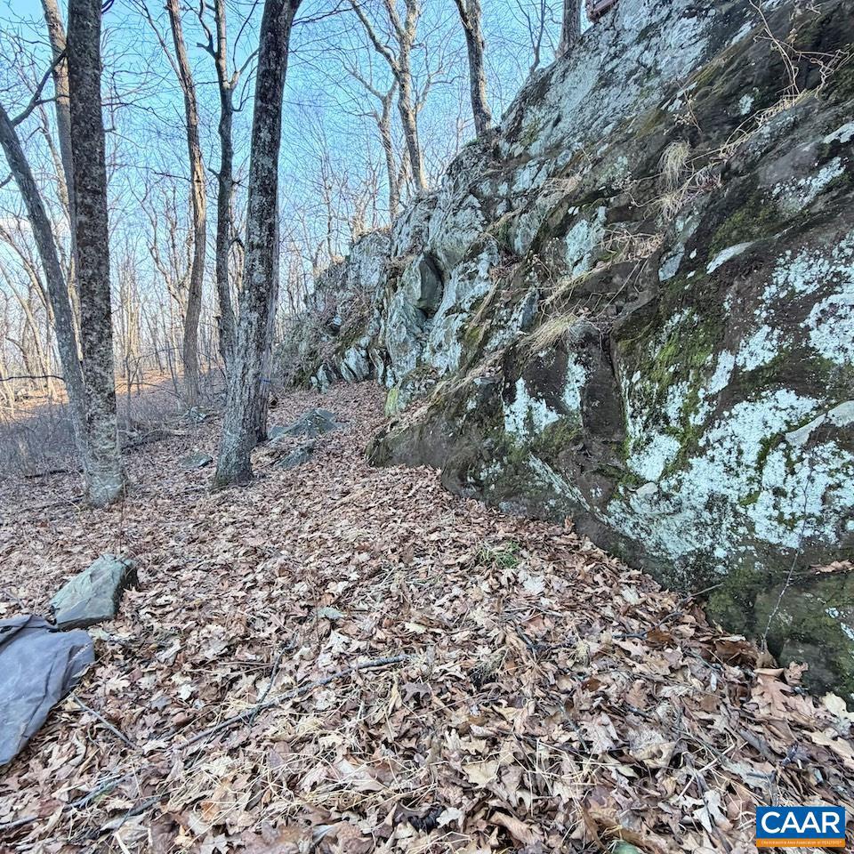 462 DEER SPRINGS LN 101