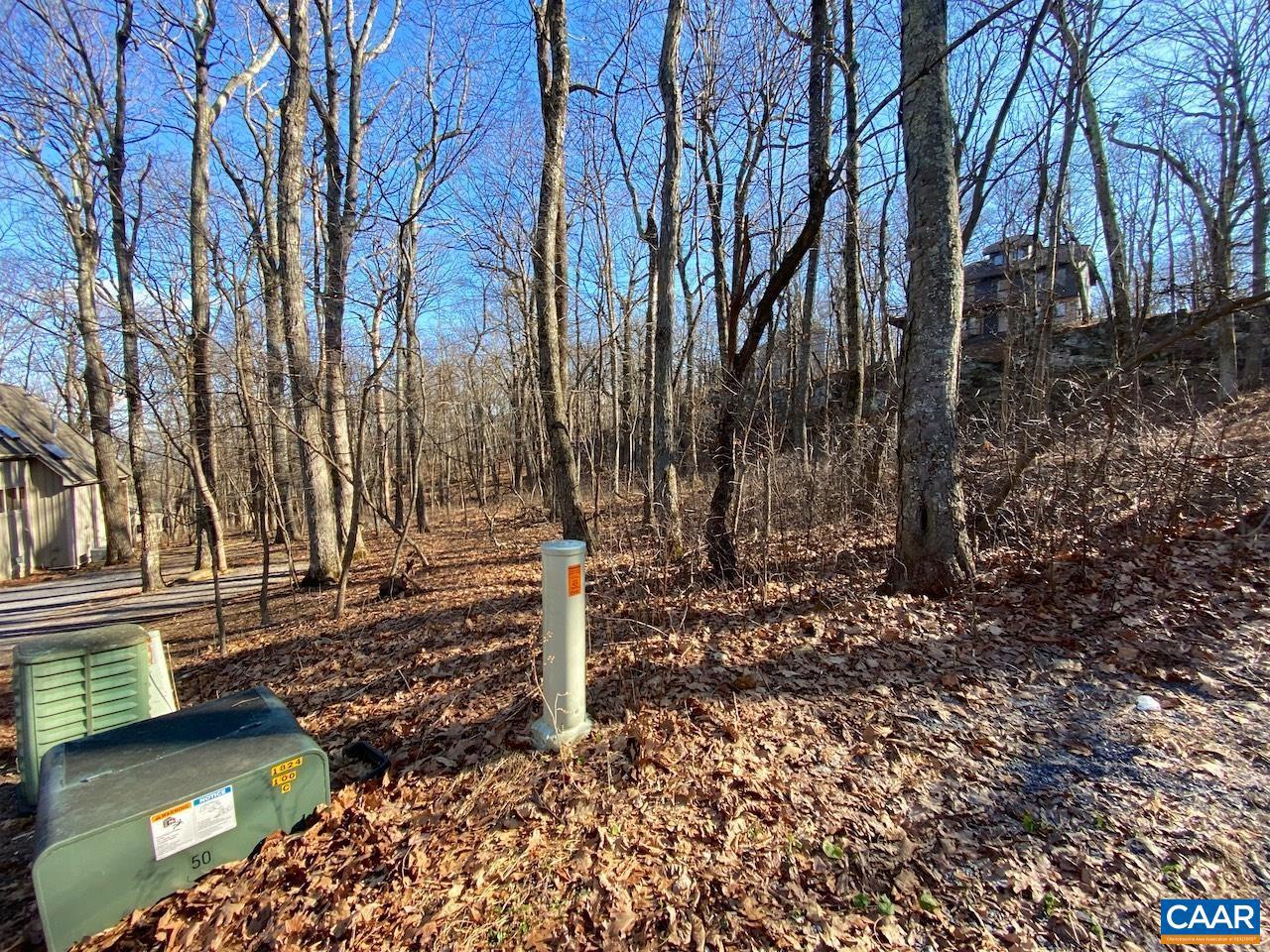 WINTERGREEN RESORT - Land