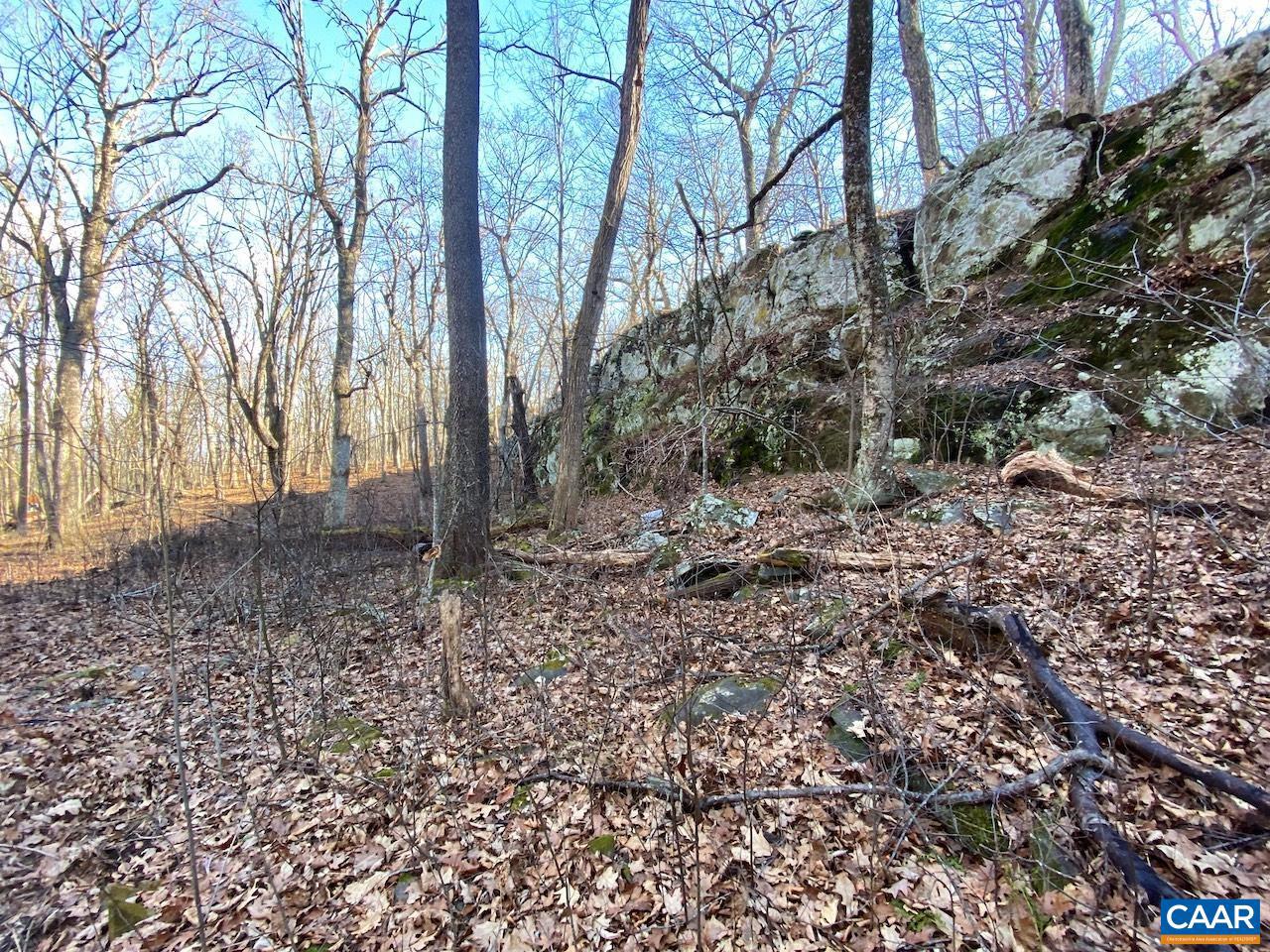 462 DEER SPRINGS LN 101