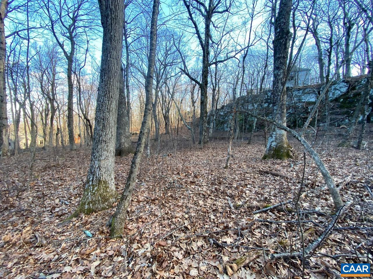 462 DEER SPRINGS LN 101