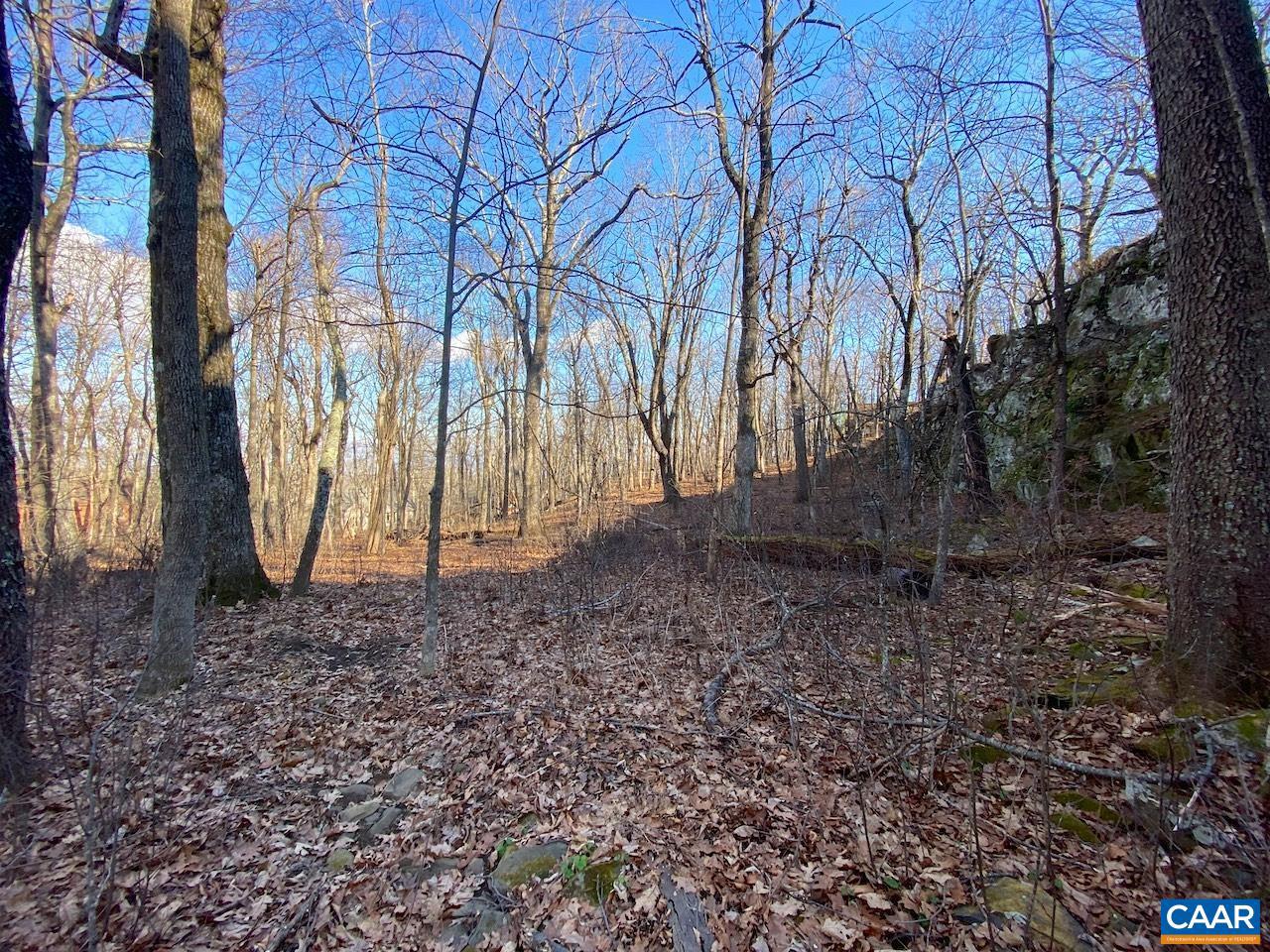 WINTERGREEN RESORT - Land