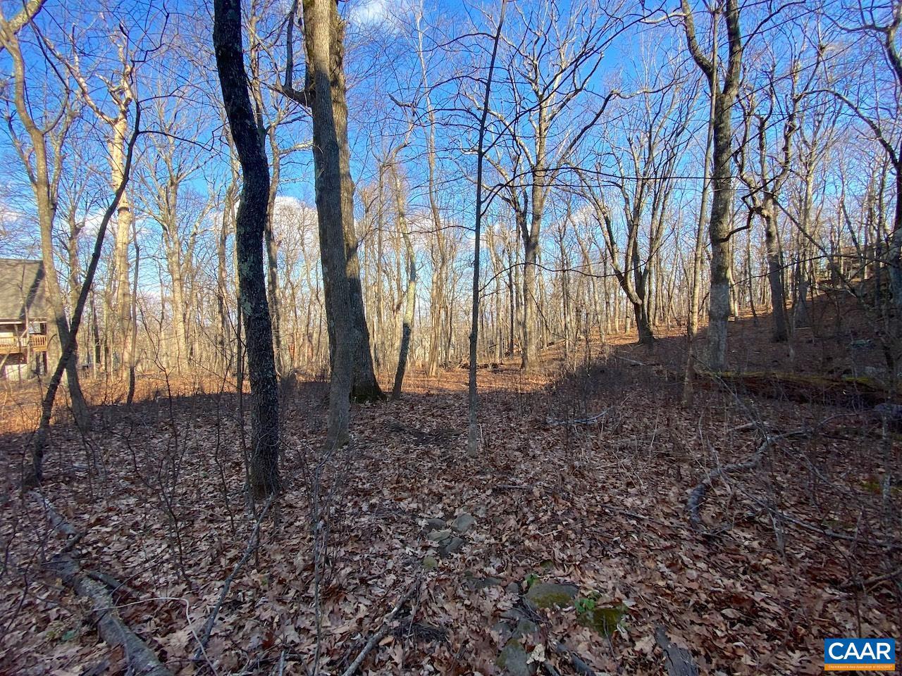 WINTERGREEN RESORT - Land