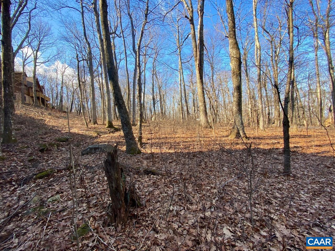 WINTERGREEN RESORT - Land