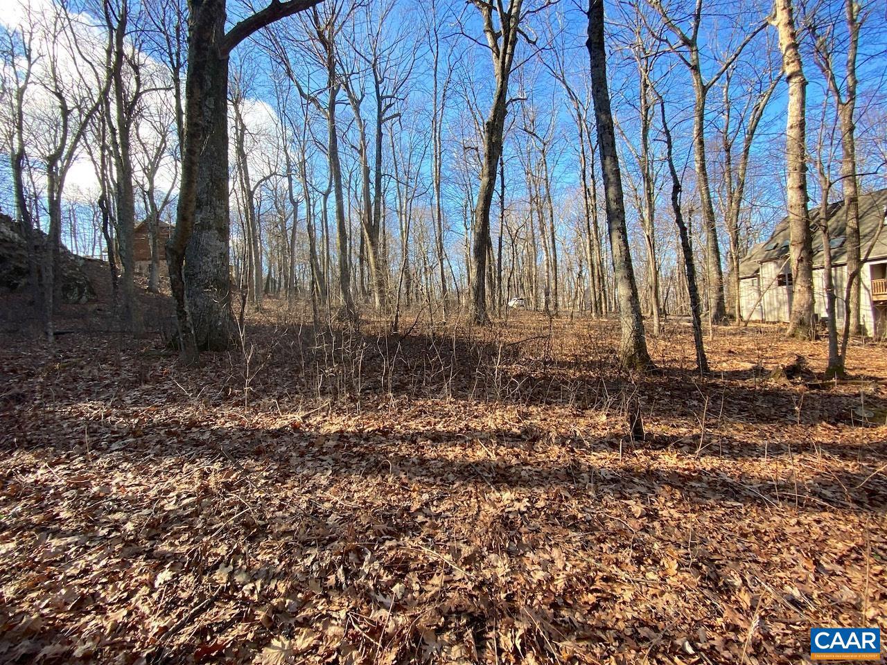 WINTERGREEN RESORT - Land