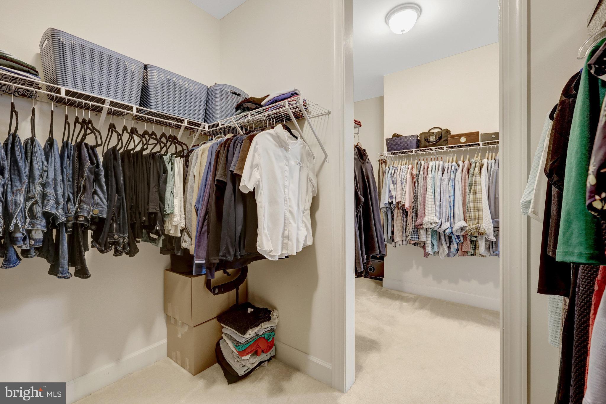 THE RESERVE AT HAMPTON SPRINGS - Residential