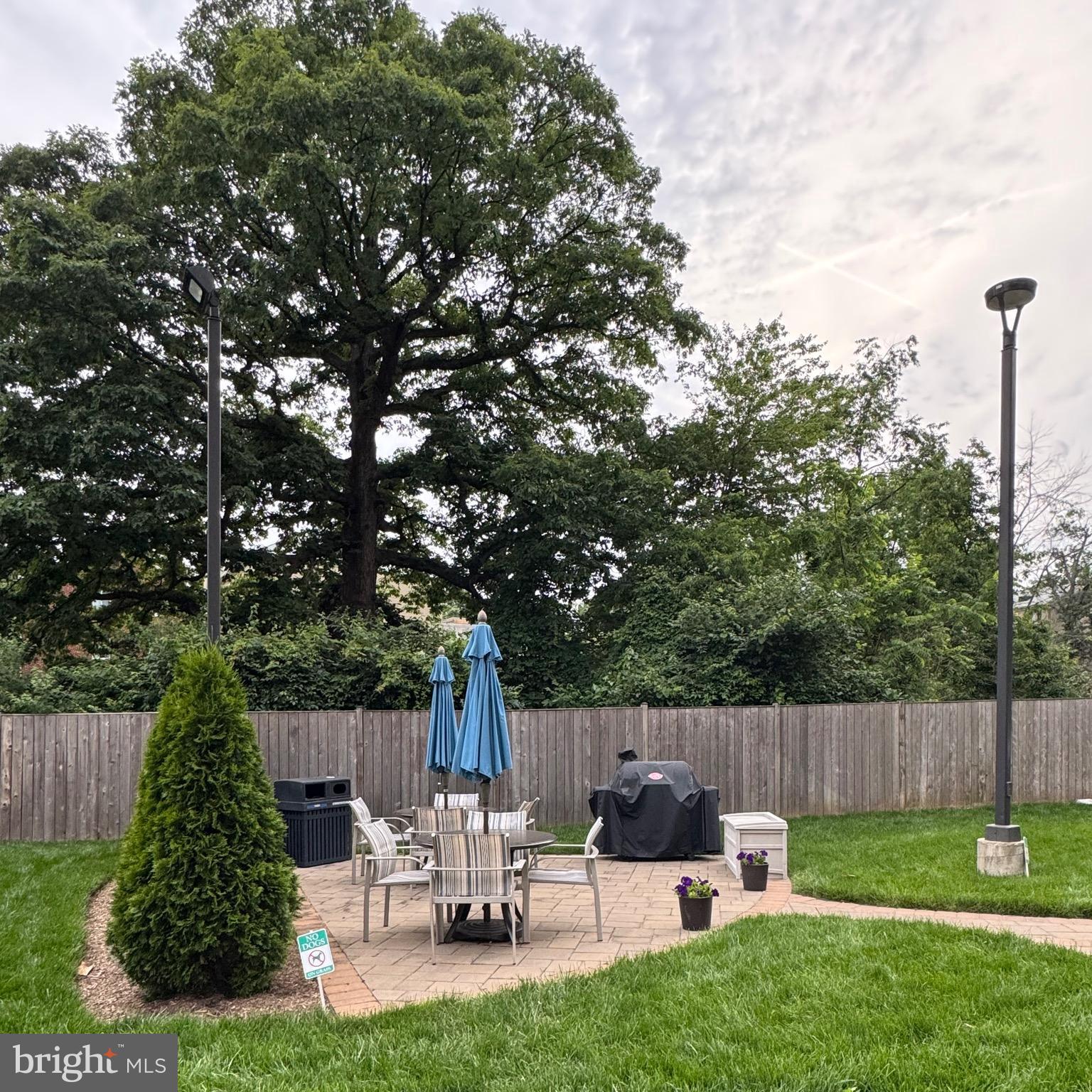 THE PALAZZO - Residential Lease