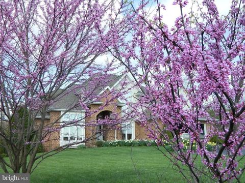 564 PEACEPIPE LANE HEDGESVILLE WV 25427