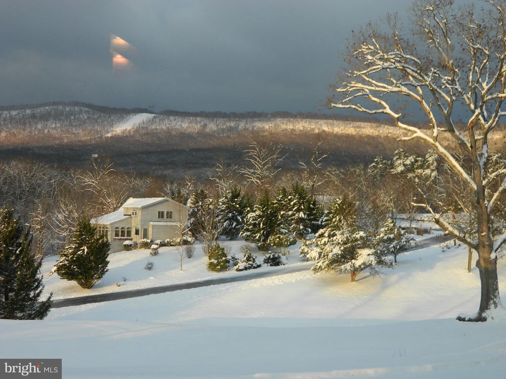 THE WOODS - Residential