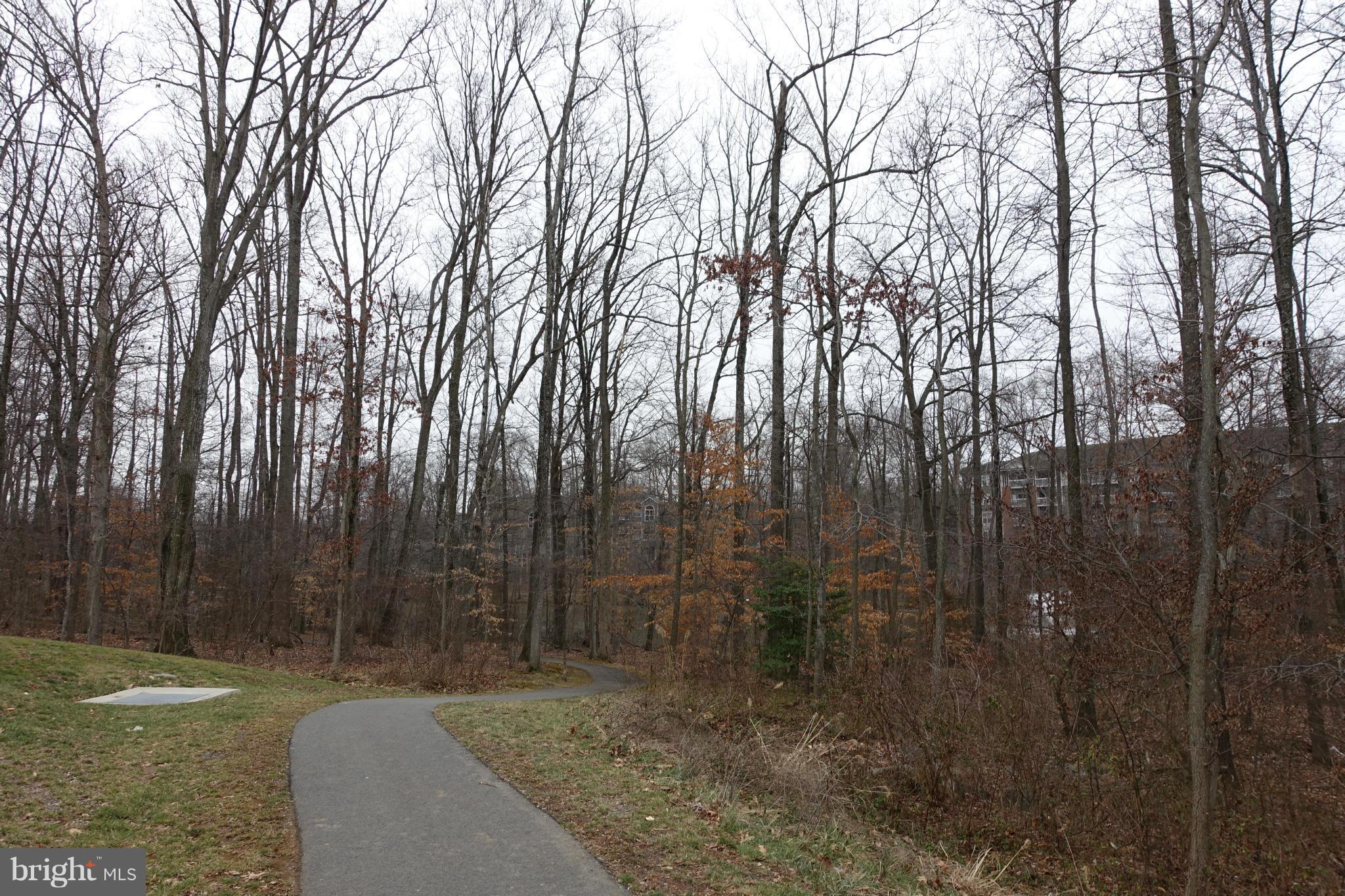 LEONARD PROPERTY - Residential