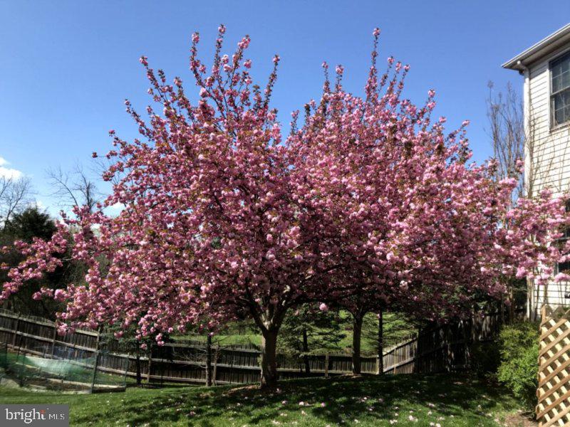 ASHBURN STATION - Residential