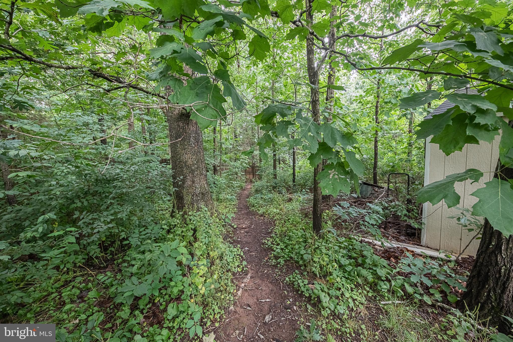 ASHBURN STATION - Residential