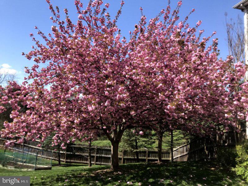 ASHBURN STATION - Residential