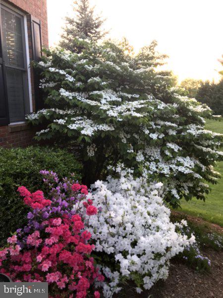 ASHBURN STATION - Residential