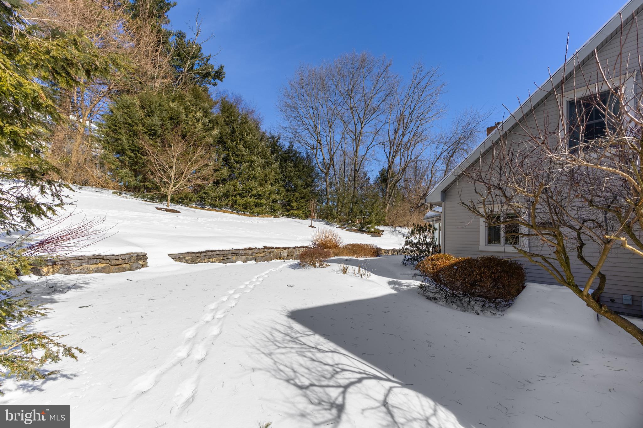 CHESTNUT RIDGE - Residential