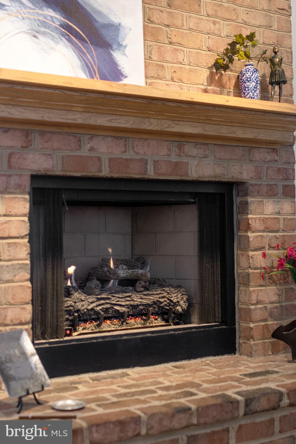 CHESTNUT RIDGE - Residential