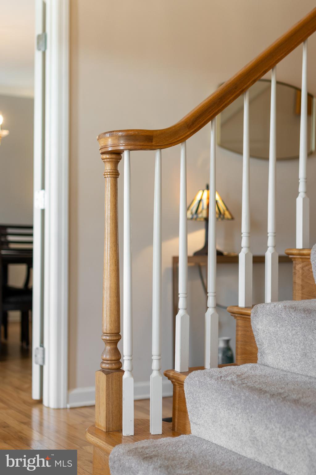 CHESTNUT RIDGE - Residential