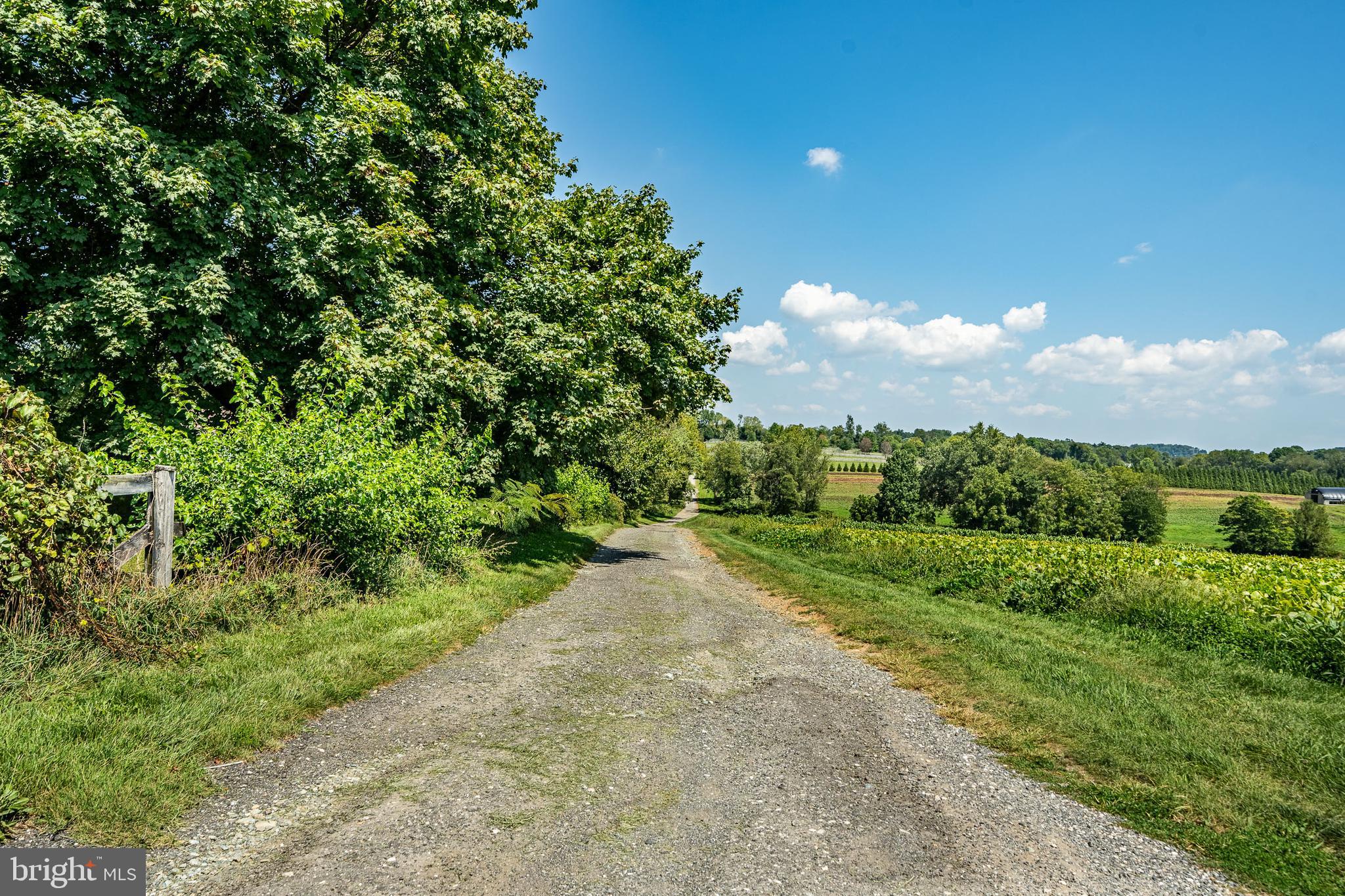 301 HIGH POINT ROAD