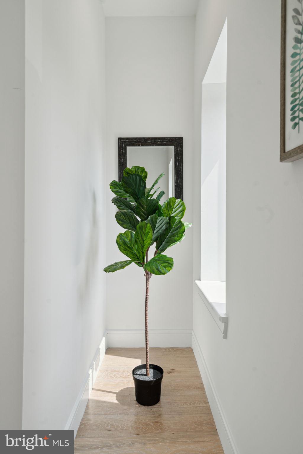 GRADUATE HOSPITAL - Residential