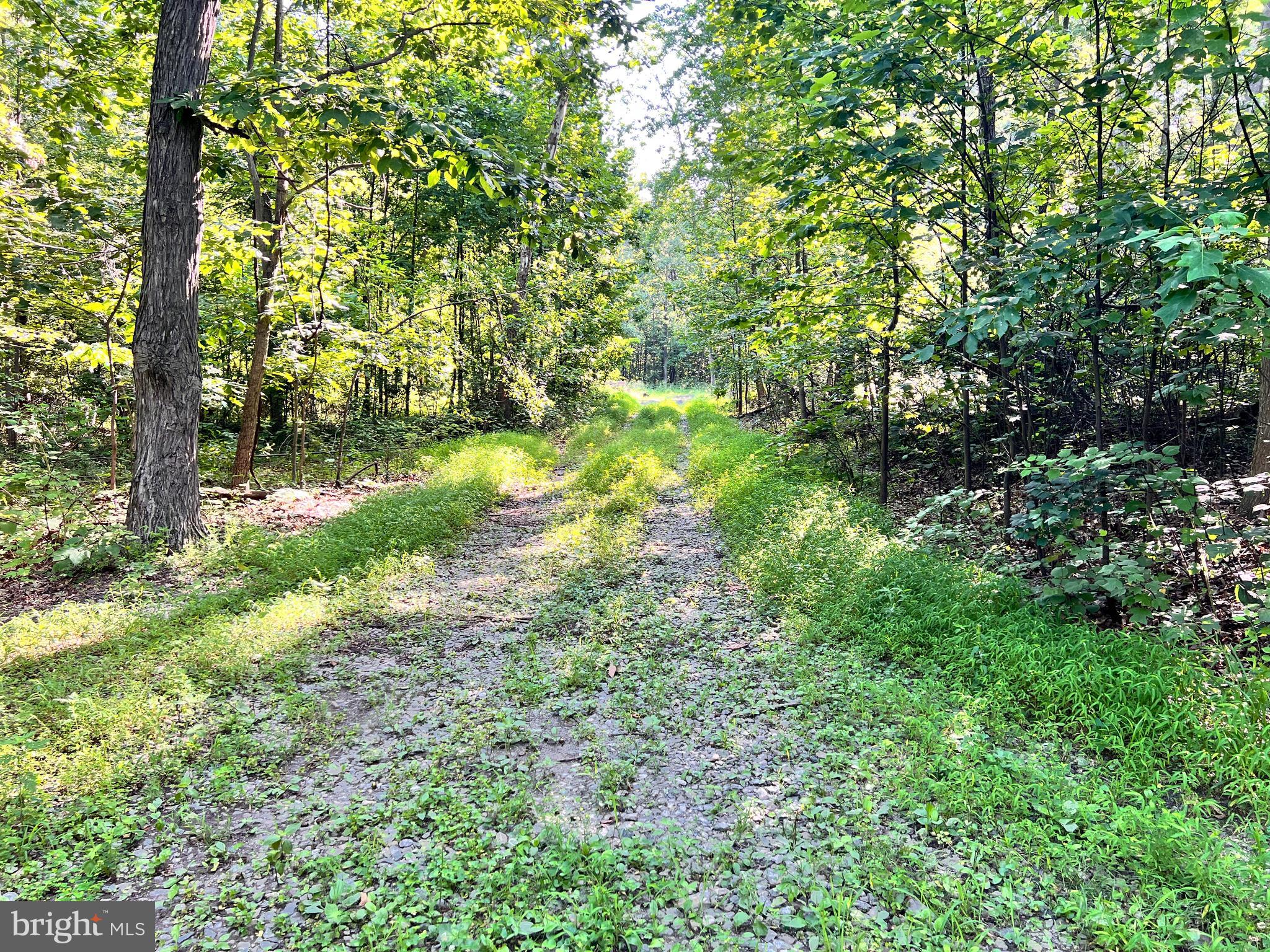 4439 SLATE RIDGE ROAD