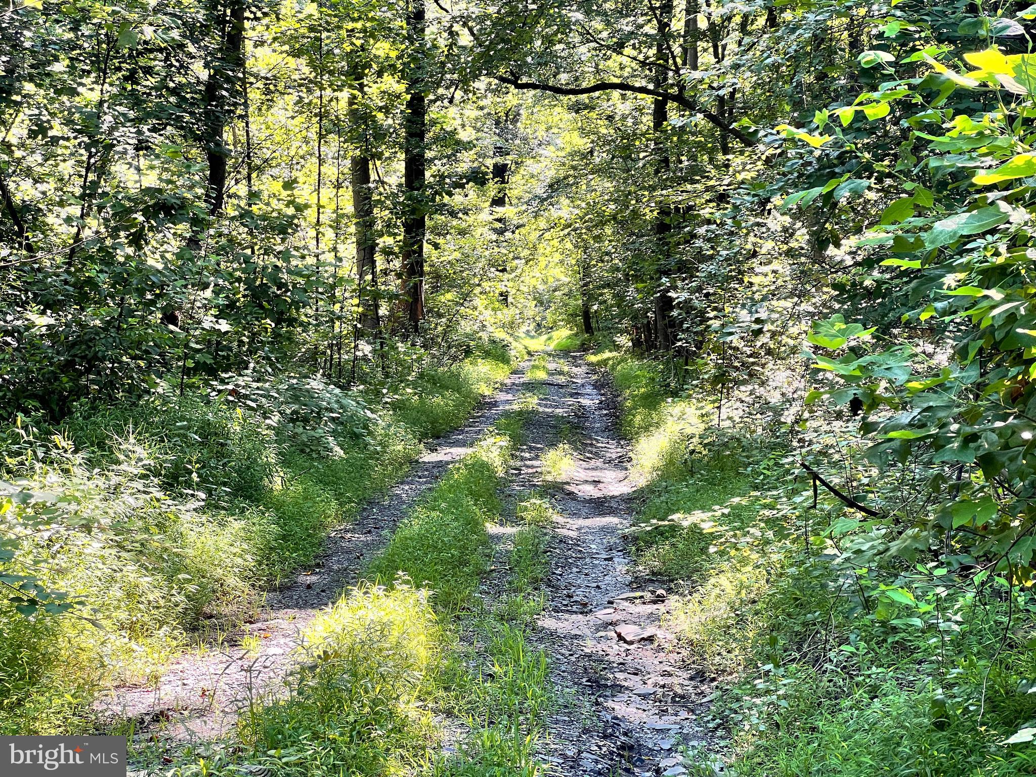 Great opportunity to purchase 157 acres of woods with managed timber. Will be a few years before another harvest is realistic. Great hunting opportunities, with logging roads and trails throughout. Access from Slate Ridge Rd on the Maryland side and Quarry Rd from the Pennsylvania side. Hunting rights leased through June 2027, parcel in MD DNR Forest Conservation Act easement as well and is a Forest Retention Area
