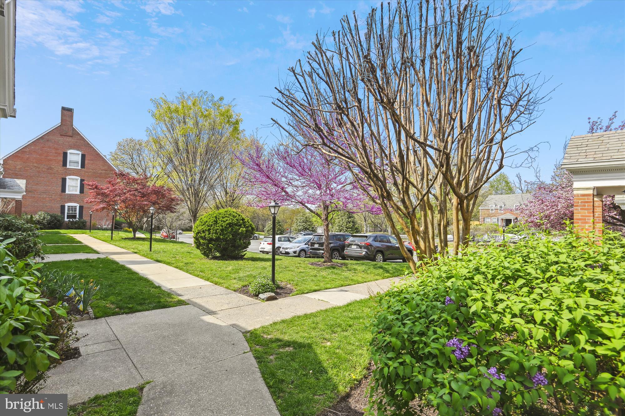 FAIRLINGTON MEWS - Residential