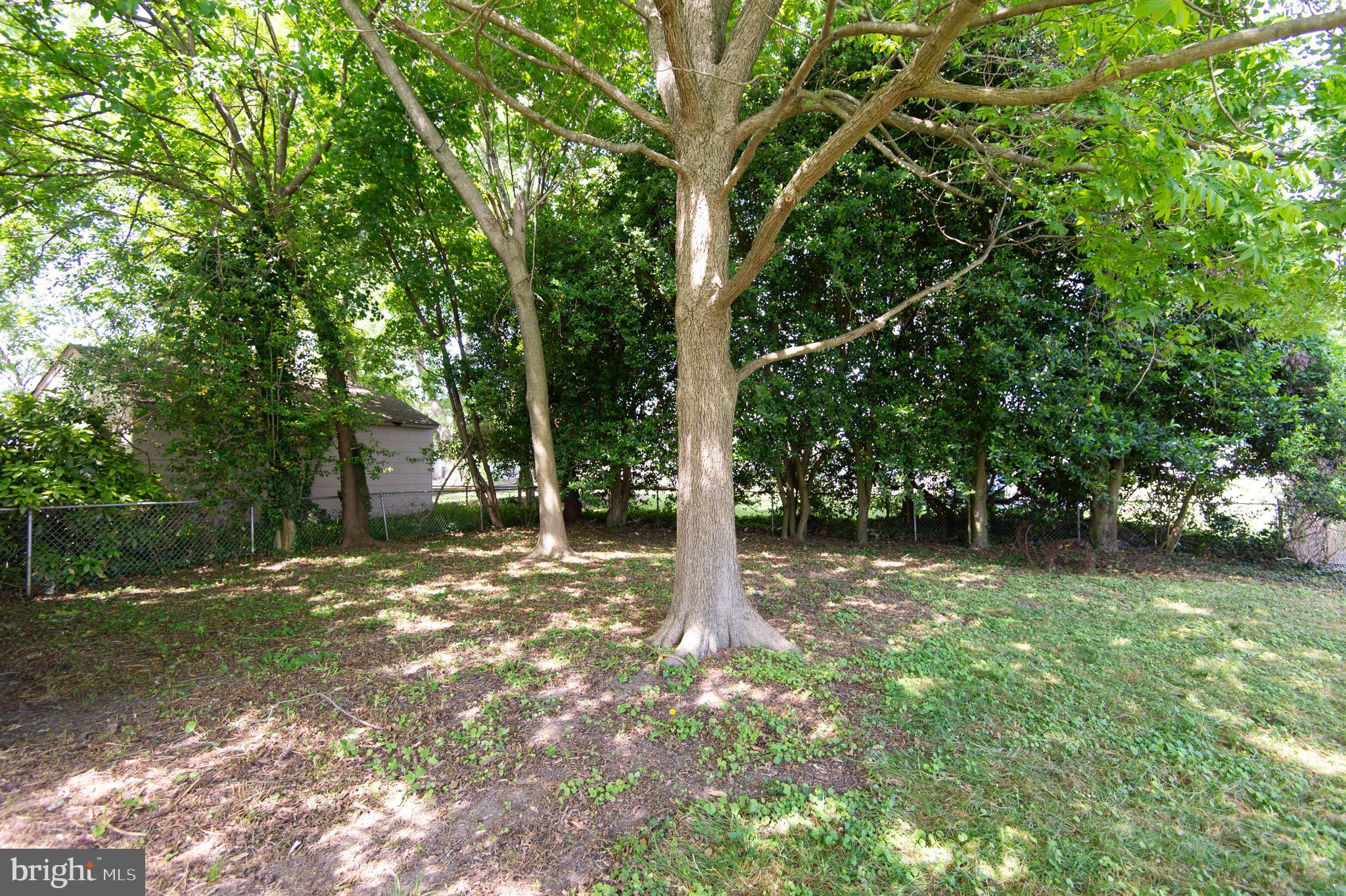 EAST CAMBRIDGE - Residential