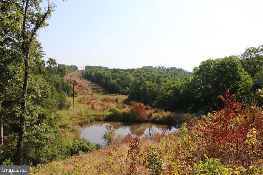This fully wooded property hasn’t been on the market since 1973 and it won’t last long. Located just minutes west of Front Royal near the Warren County Airport with multiple possibilities for its new owner(s). Access is secured via a deeded right of way off of Kendrick Ford Road. Discover potential building sites throughout this tract as you walk along the multiple ridge top flats. A large stream named Cabin Run meanders through both parcels adding to its beauty and character. Experience exciting hunting as many types of wildlife call this land home including deer, turkey, and many small game species. Enjoy hiking, camping, and recreation of all types on this parcel. Gently sloping topography makes maneuvering this tract enjoyable and fun. This land is currently being used for recreation and is zoned Agricultural. Imagine building your next country home or vacation rental right here. The wooded acreage is a mix of cedar, pine, and hardwood trees. Just a few minutes from all the fun and adventure the Shenandoah River and Skyline Drive have to offer. Only a short drive from the amenities and attractions of Front Royal. The blue and black lines on the aerials are electricity transmission lines.

***All potential buyer(s) must be accompanied by a licensed agent for showings.***