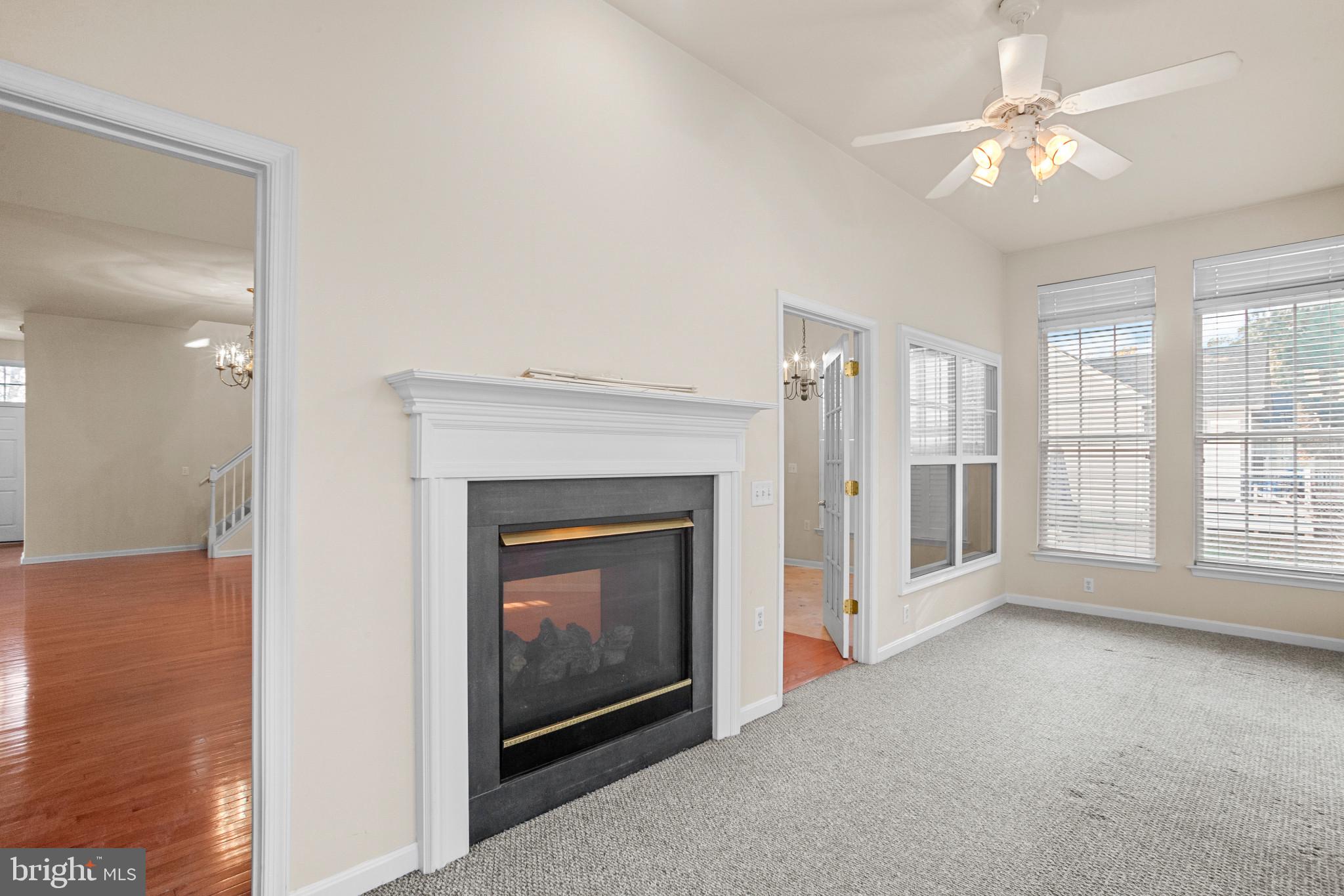 OCEAN PINES - THE PARKE - Residential