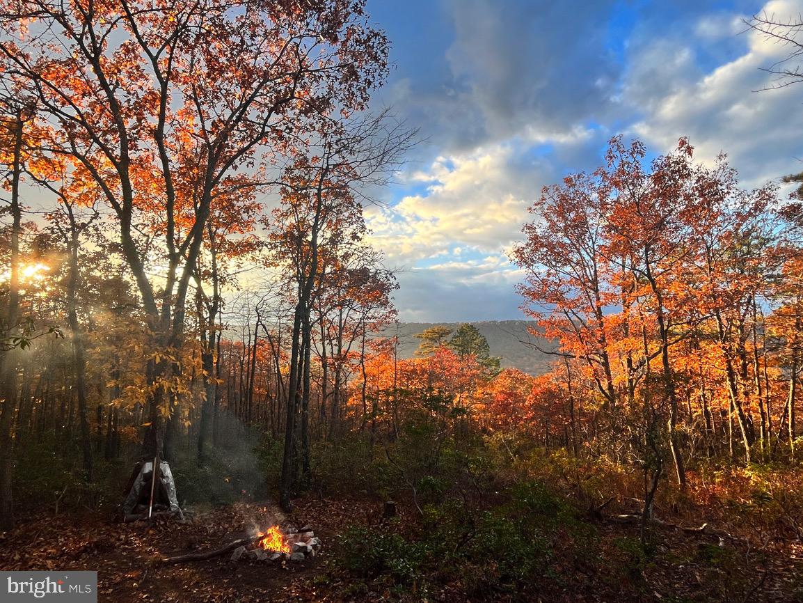 LOT66&67 BAKER MOUNTAIN DRIVE